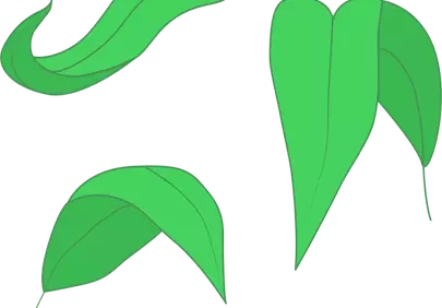 Vibrant Green Leaf Illustrations: Minimalist Nature Art