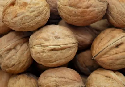 Rustic Autumn Walnuts: Nature's Healthy Snack in Close-up