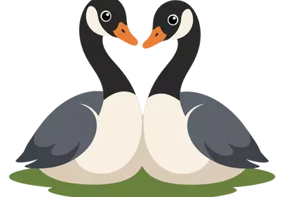 Charming Wild Goose Pair Illustration: Perfect for Nursery Decor