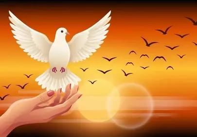 Soaring Peace: Dove Takes Flight from Hand at Sunset