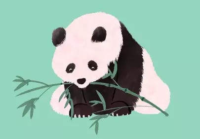 Charming Cartoon Panda Enjoying Bamboo on Green