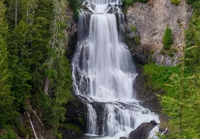 Cascading Majesty: Forest Waterfall Adventure