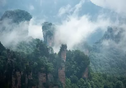 Misty Majesty: Wulingyuan's Enigmatic Peaks Emerge from the Fog