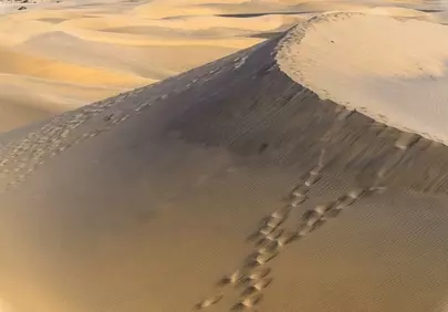 Stunning Maspalomas Dunes: Golden Sands & Endless Horizon