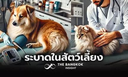 recommend