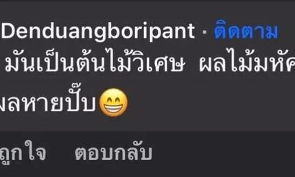 recommend
