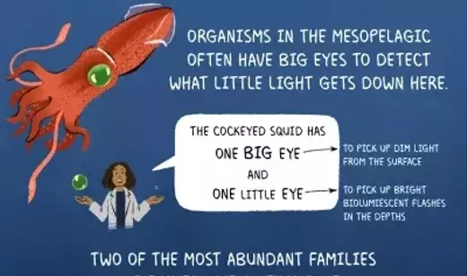 Slide 6