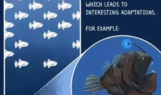 Slide 9