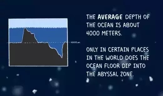Slide 10