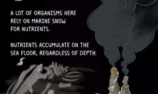 Slide 13