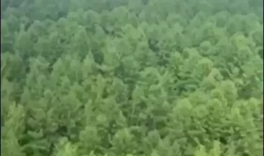 Single Slide