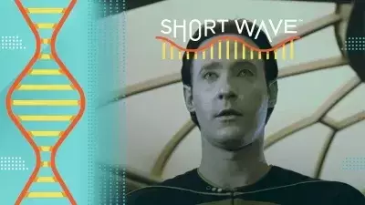 Slide 1