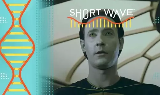 Slide 3