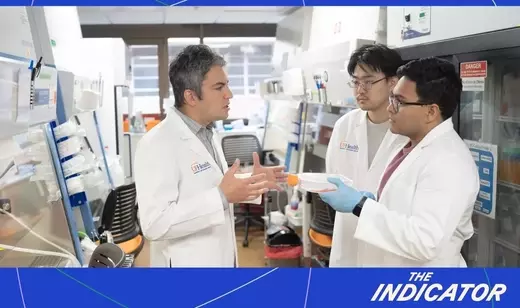 Slide 12