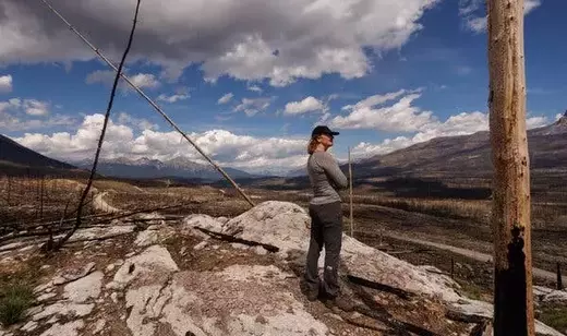 Single Slide