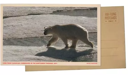 Single Slide