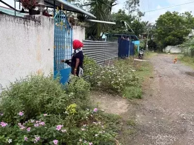 Slide 4