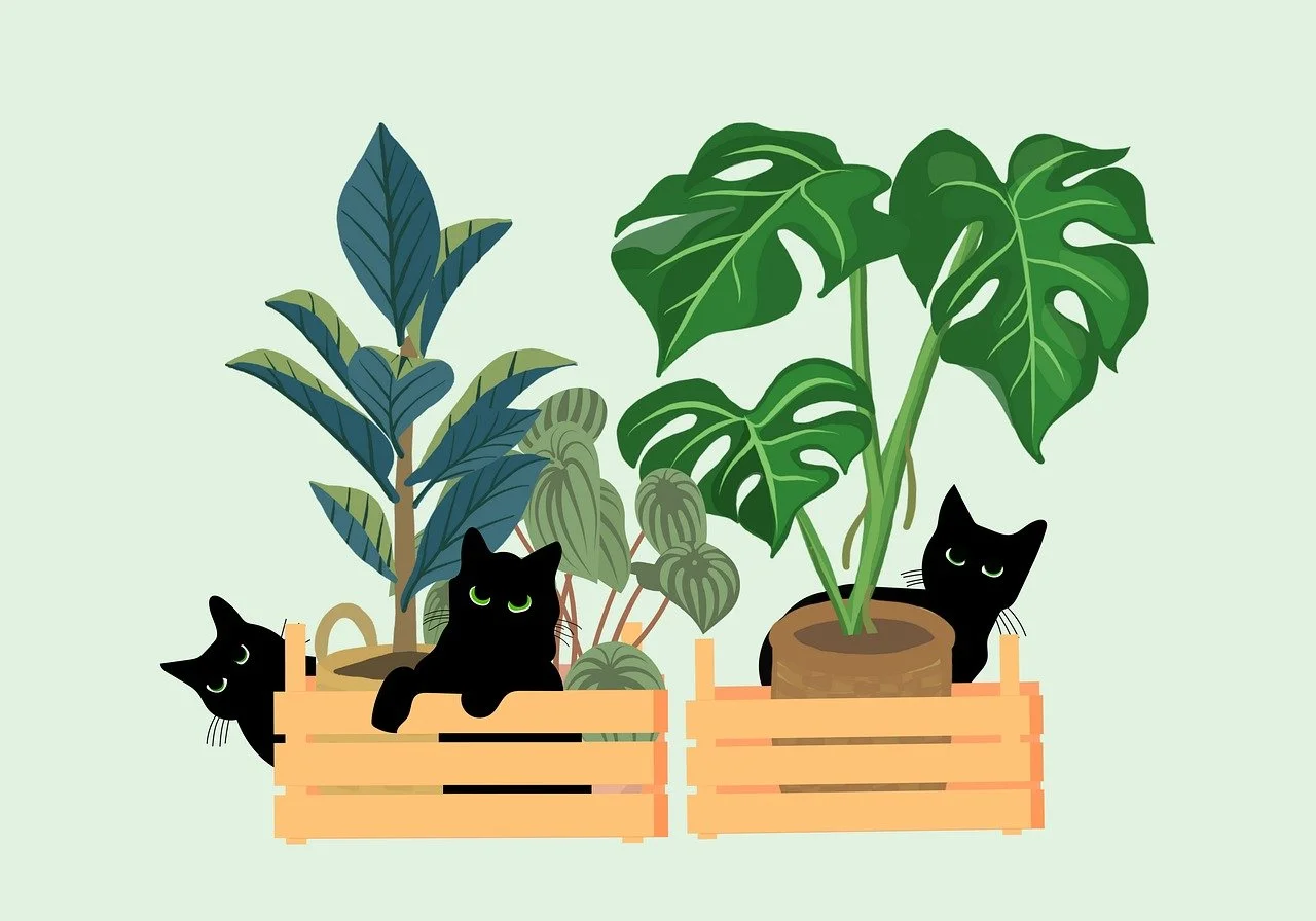Charming Black Cats Peeking from Lush Green Plants