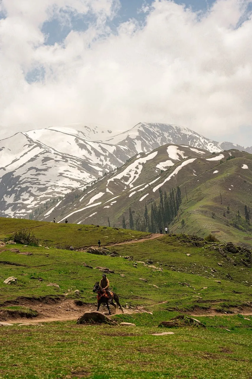 Majestic Alpine Journey: Horseback Riding Through Snowy Peaks