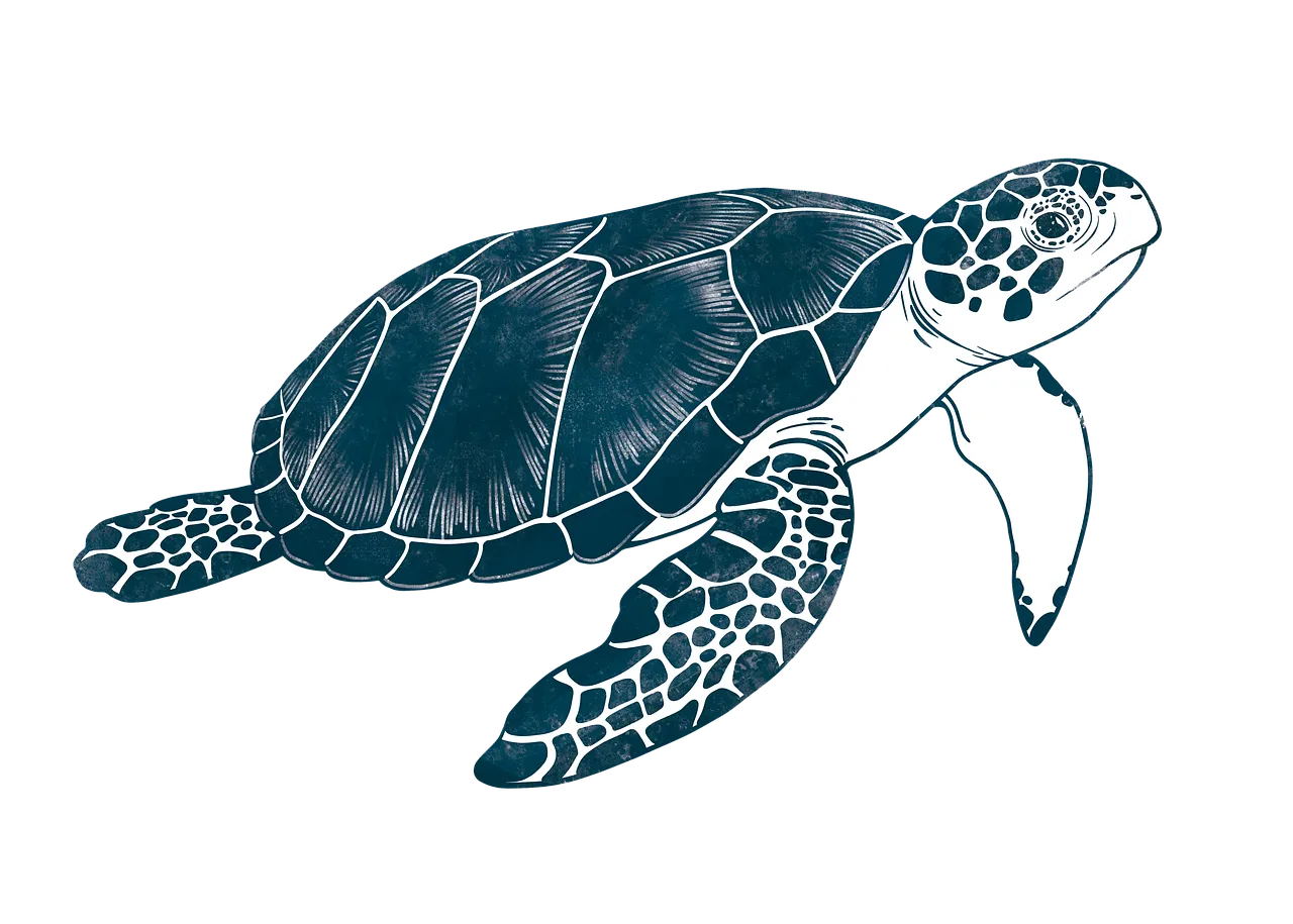 Striking Sea Turtle Art: Marine Wonder in Blue