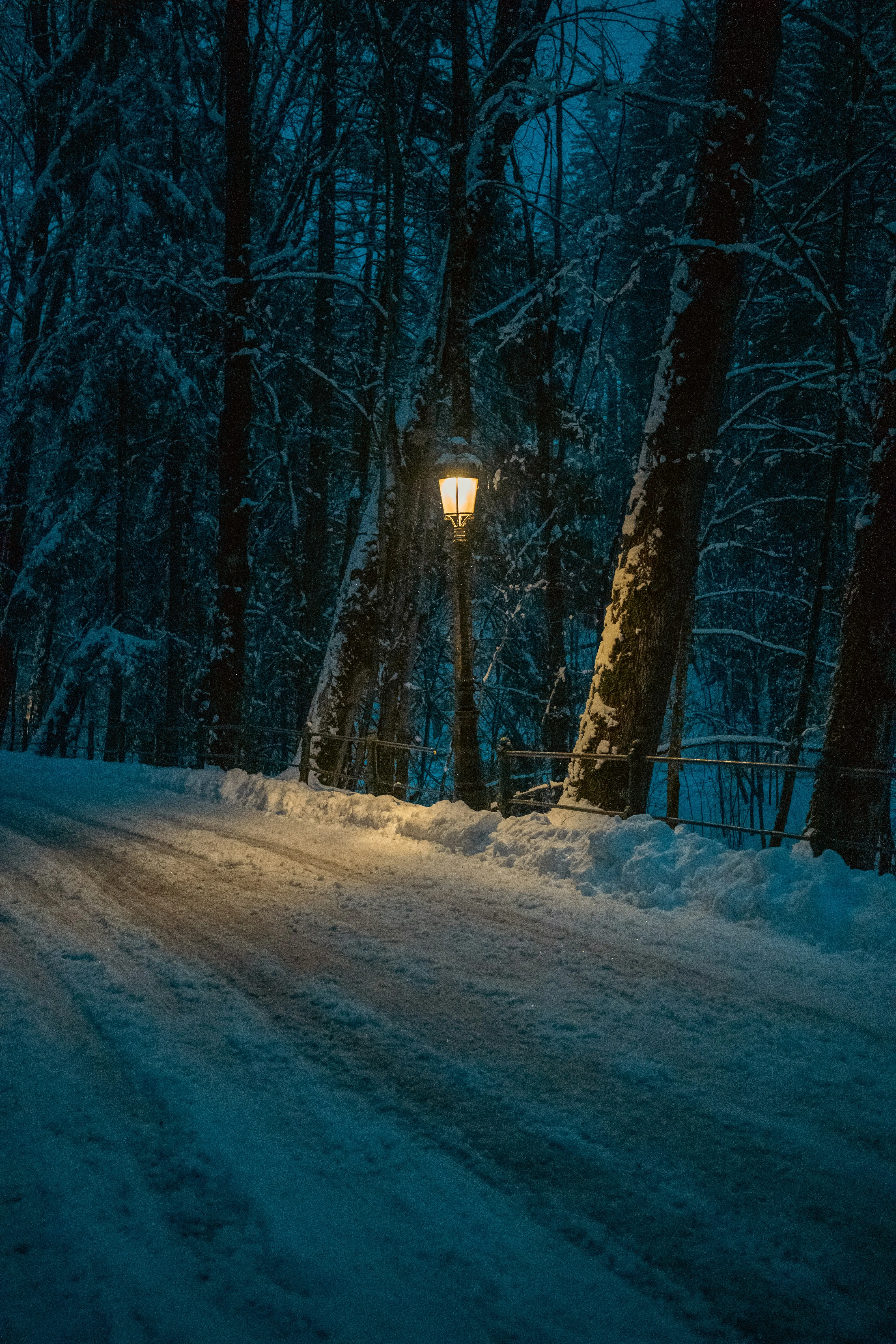 Enchanting Winter Path: A Lamp's Warm Glow in a Snowy Forest