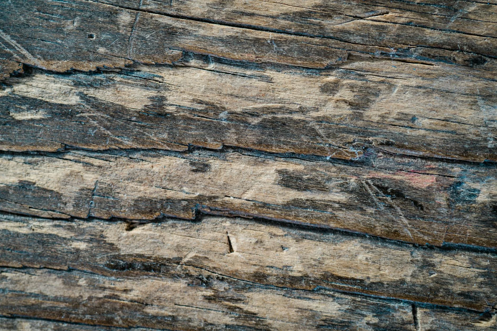 Rustic Wood Grain: Weathered Textures with Timeless Character