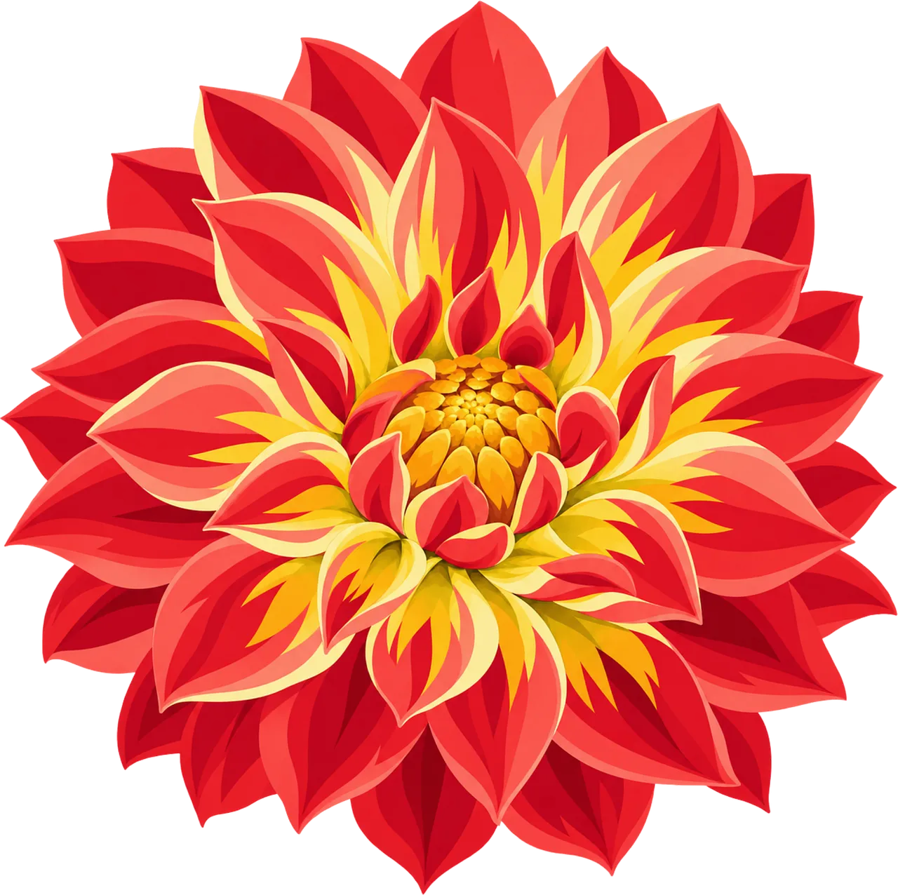 Vibrant Dahlia Bloom: A Summer Garden Masterpiece