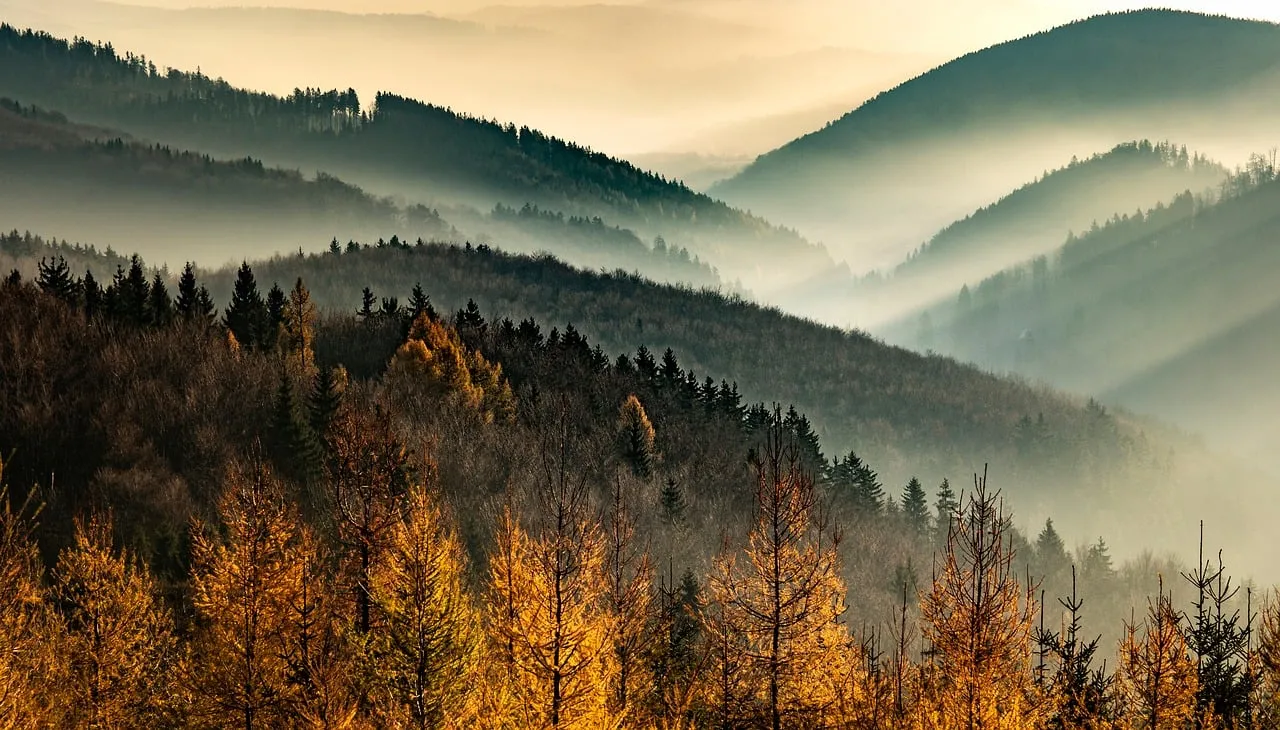 Breathtaking Autumnal Peaks: Golden Forest Mist Landscape