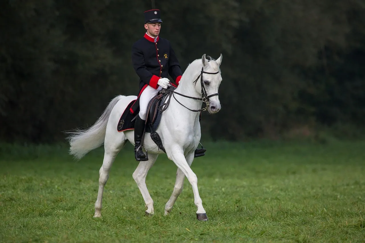 Graceful Arabian Trot: Rider in Traditional Uniform