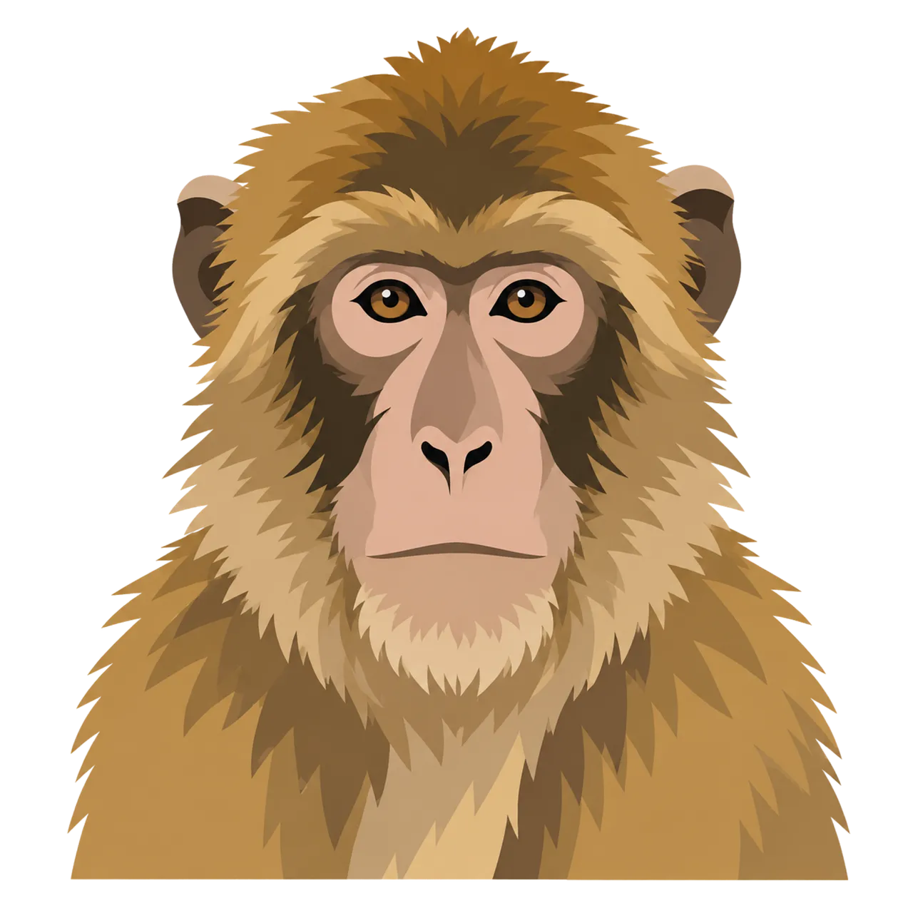 Striking Barbary Macaque Portrait: Golden Fur and Amber Eyes