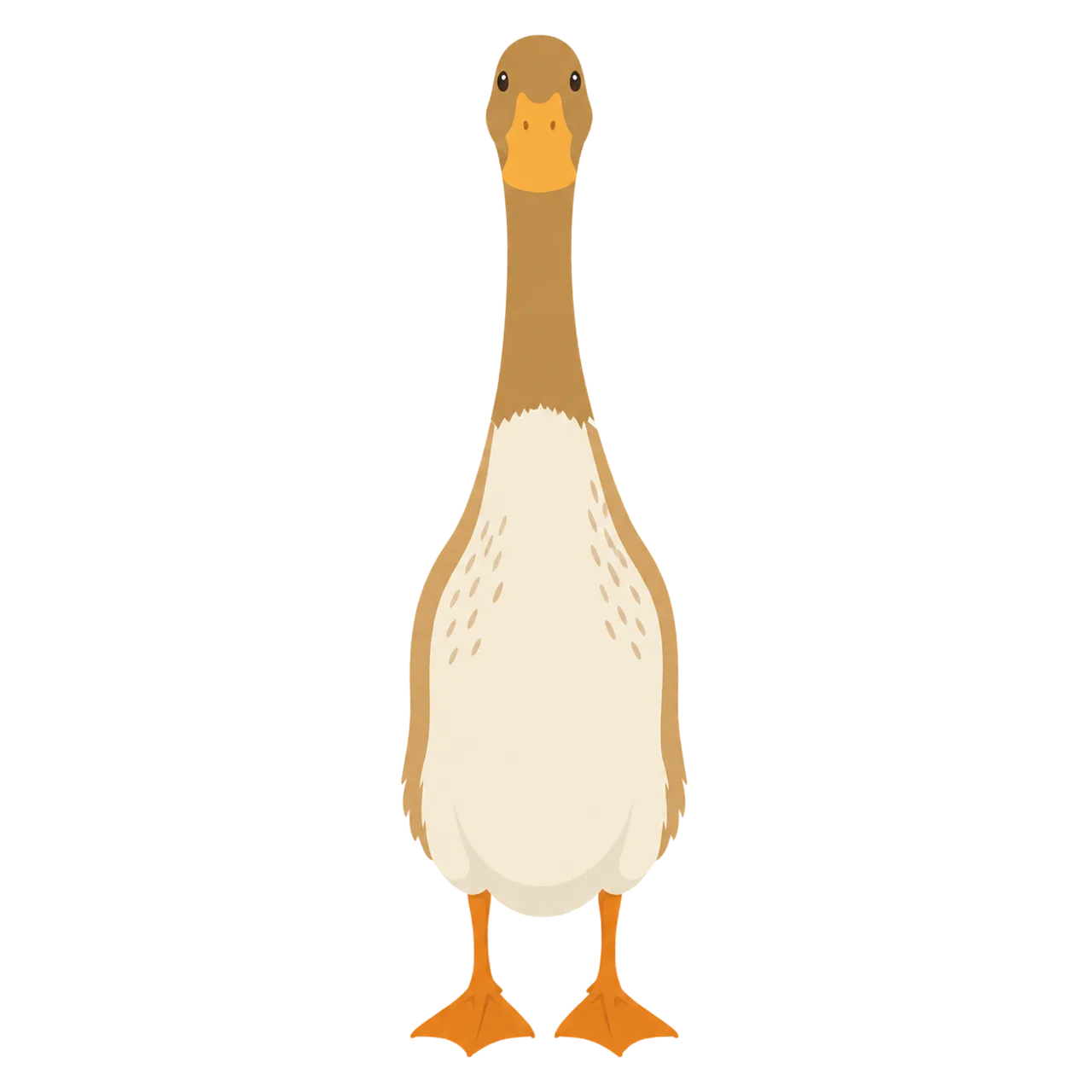 Charming Indian Runner Duck Cartoon: Friendly Farm Fowl Illustration