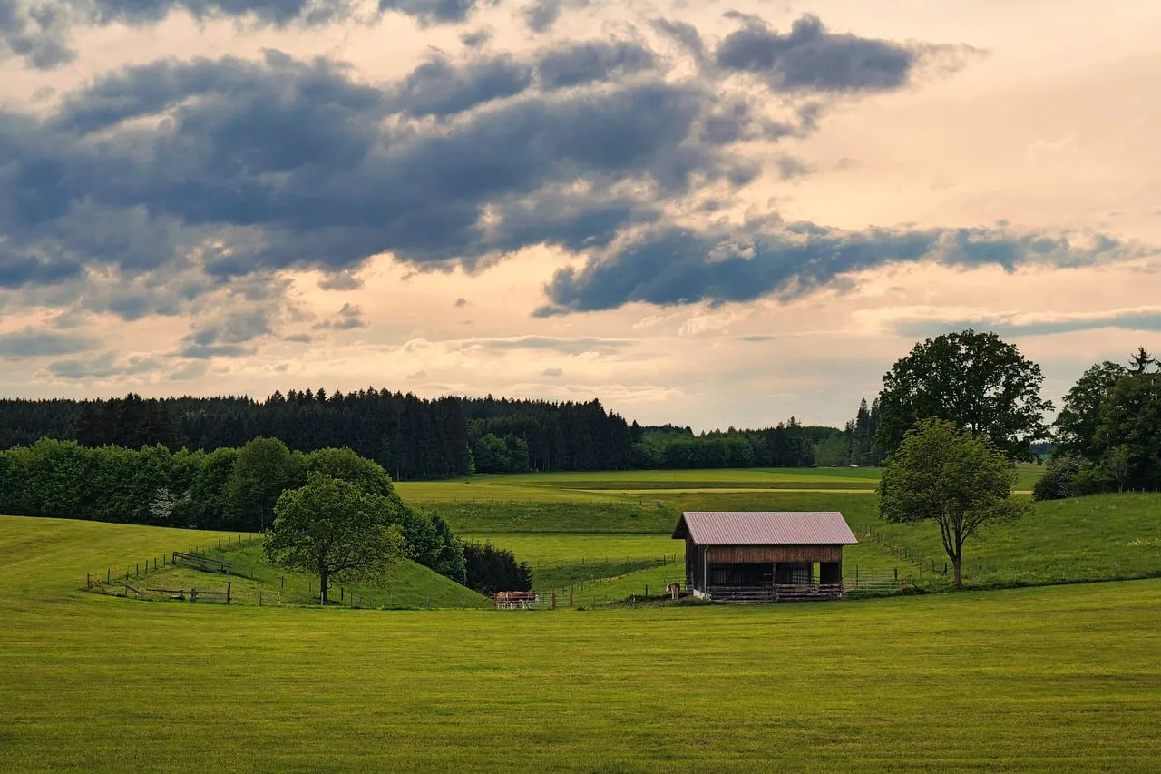 Serene Sunset: Barn Amidst Golden Fields & Dramatic Skies