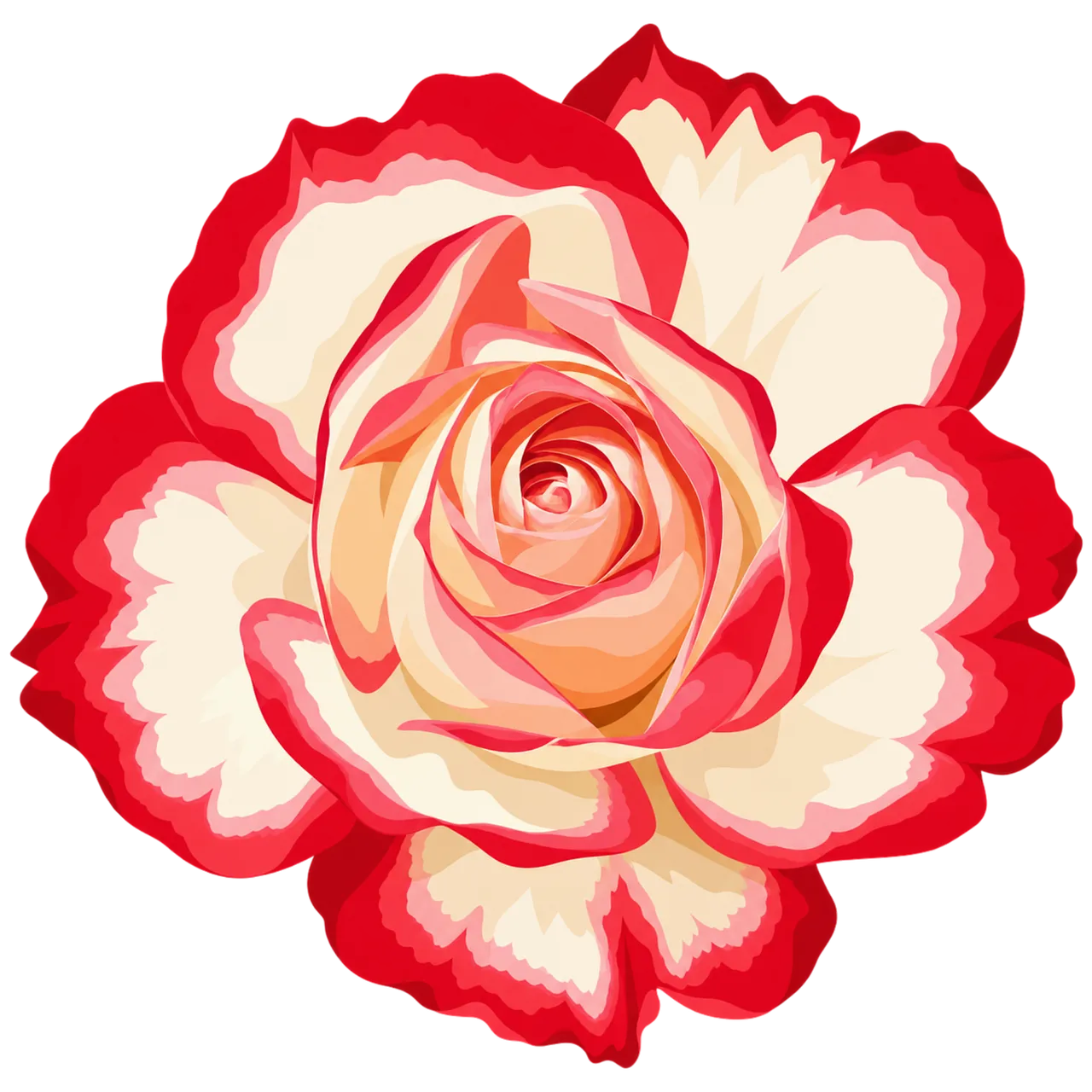 Stunning Bicolor Rose: A Romantic Floral Masterpiece