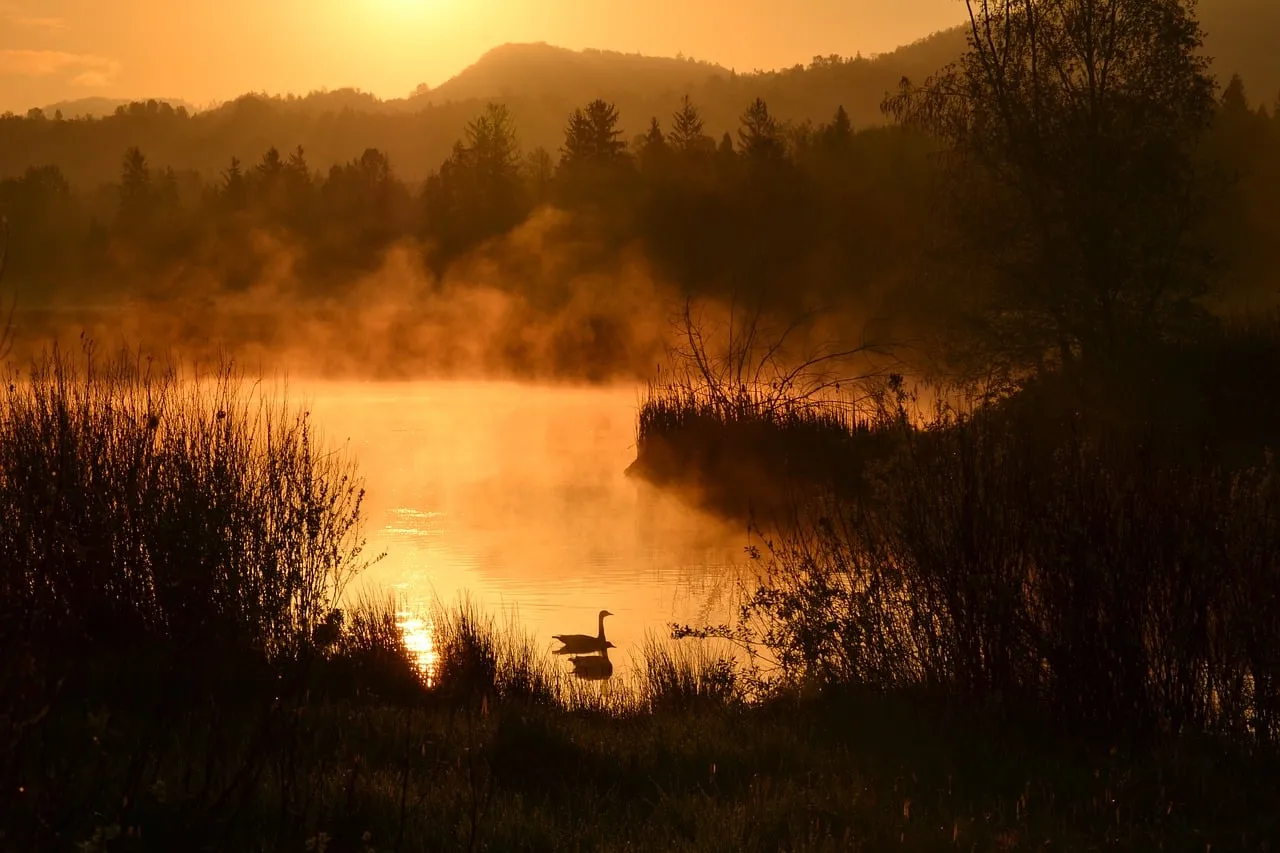 Golden Dawn: Serene Lake & Misty Sunrise Reflections