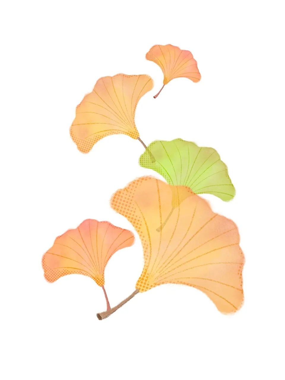 Vibrant Ginkgo Leaves: A Modern Autumn Botanical Illustration