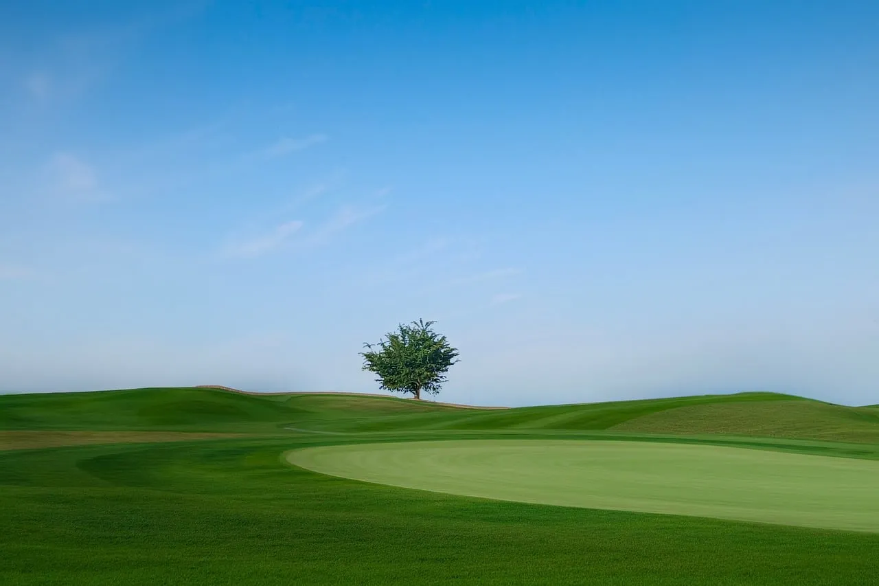 Serene Solitude: Lone Tree on a Verdant Golf Course