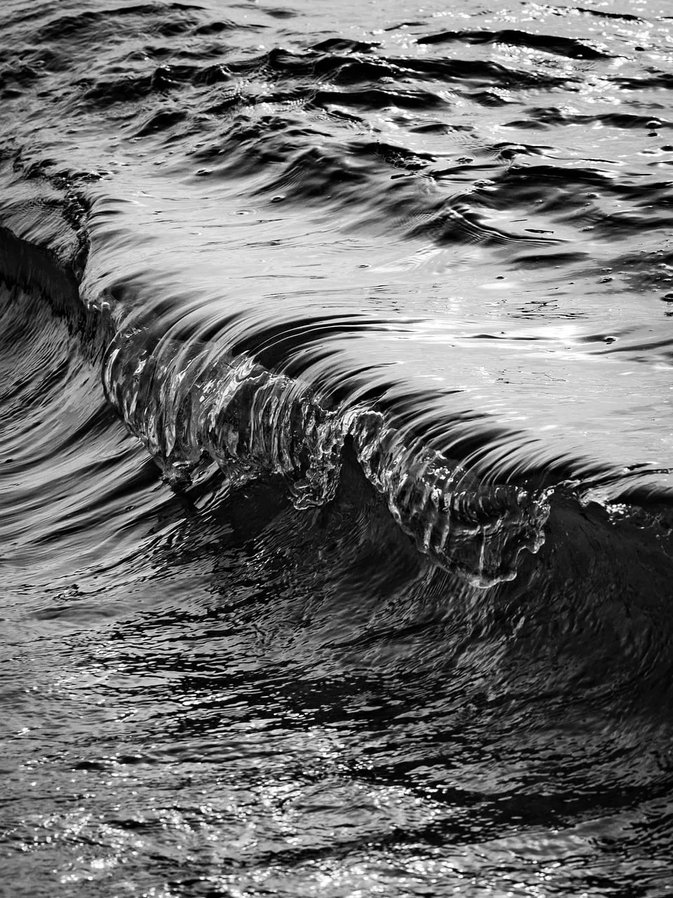 Dramatic Black and White Wave Captures Ocean's Raw Power
