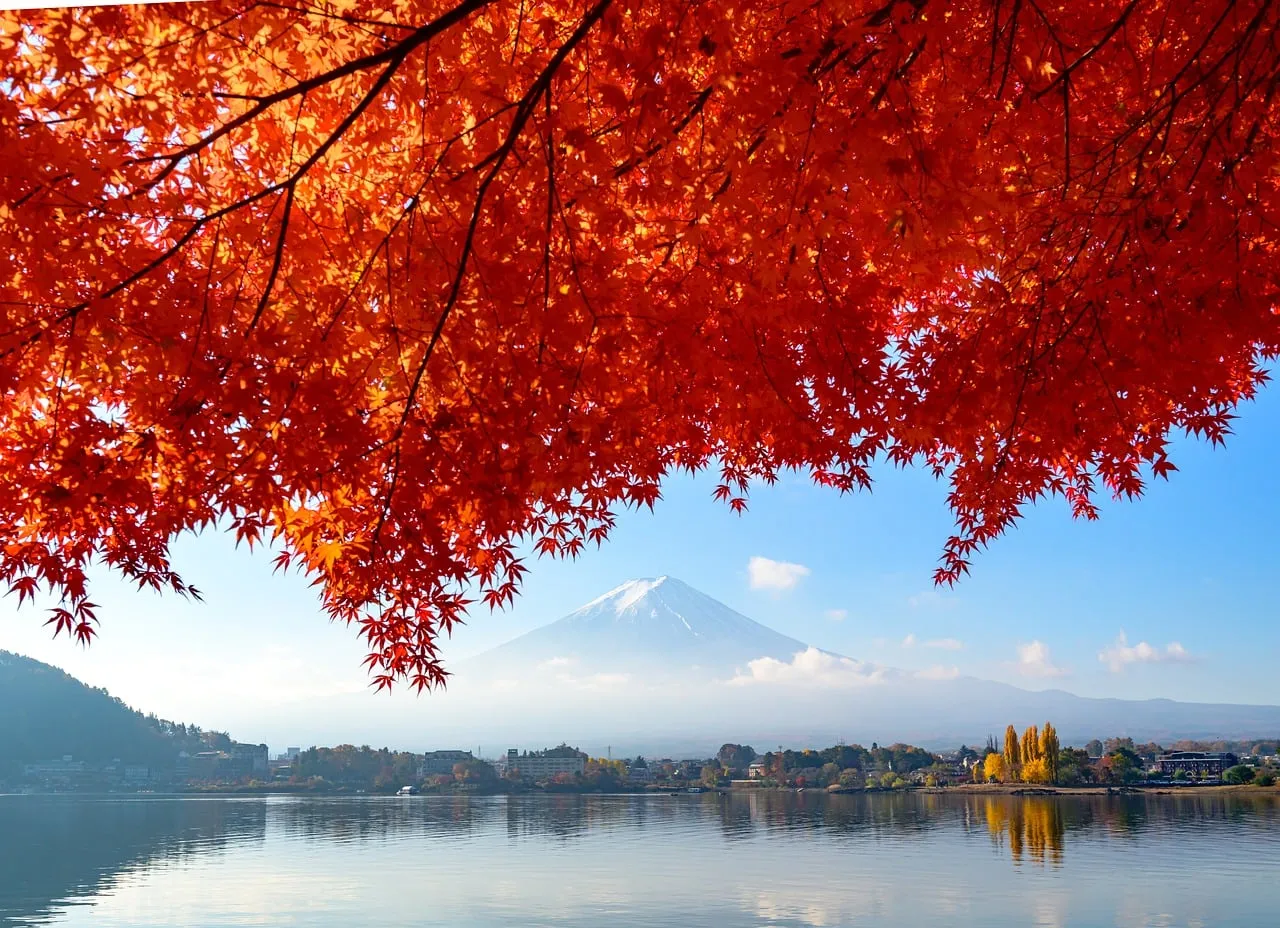Vibrant Autumn Splendor: Mount Fuji & Fiery Maple Reflection
