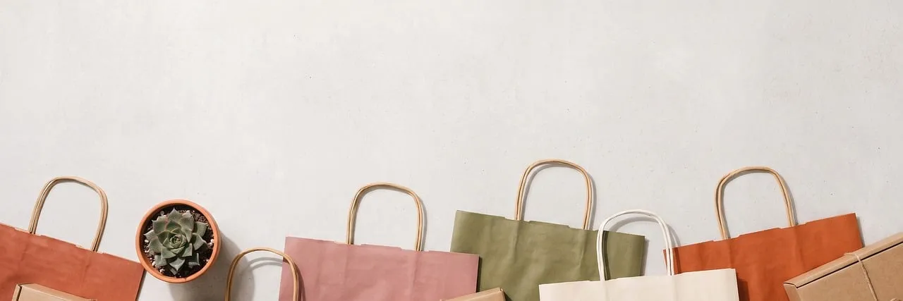 Sustainable Chic: Eco-Friendly Shopping Bags & Succulent Decor