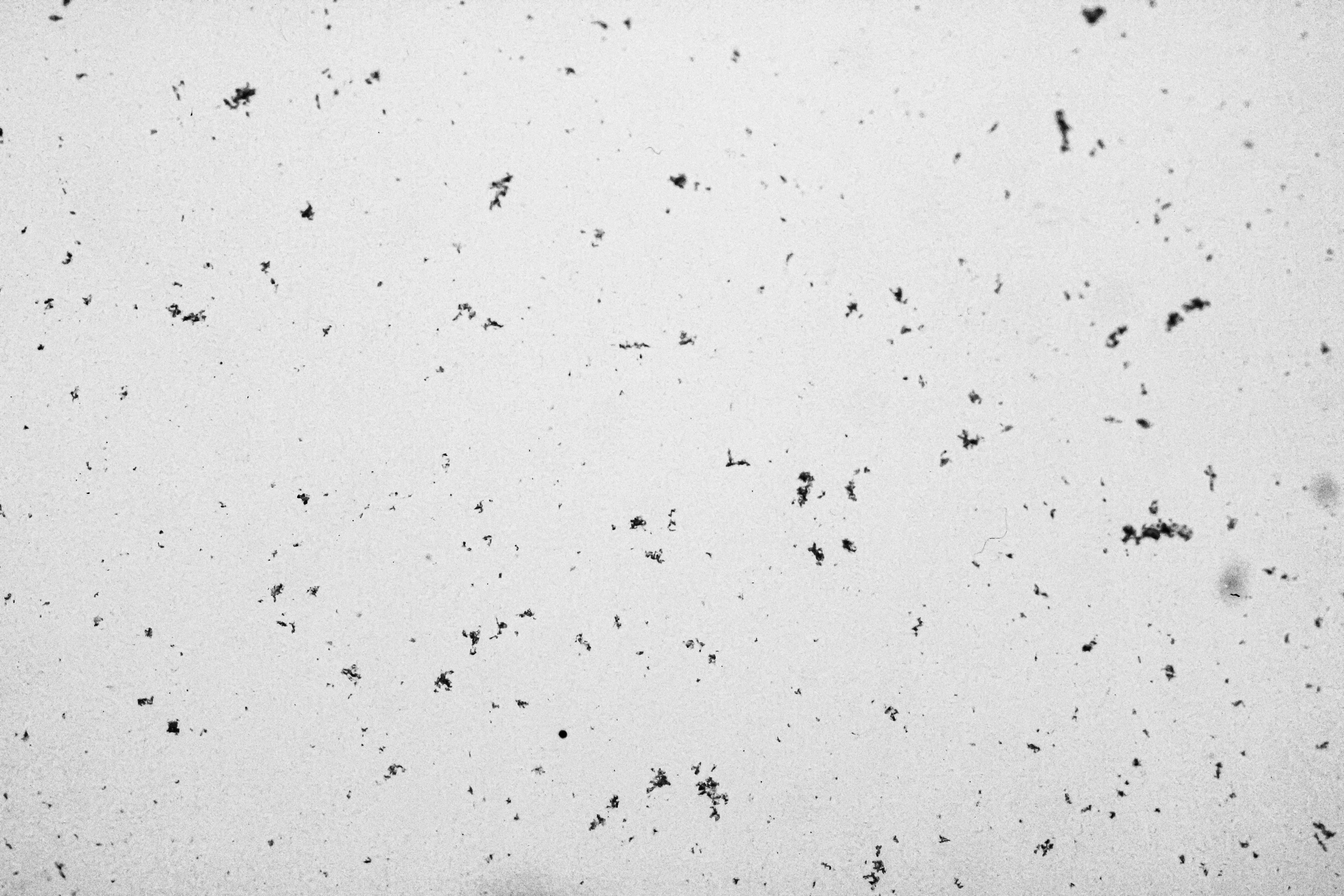 Subtle Particles: A Dynamic Light Background Texture