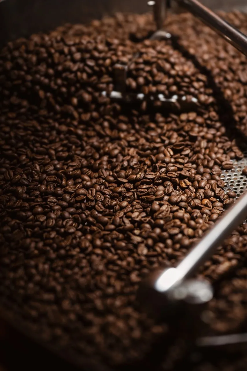 Rich Coffee Beans: A Macro View of Dark Roast Perfection