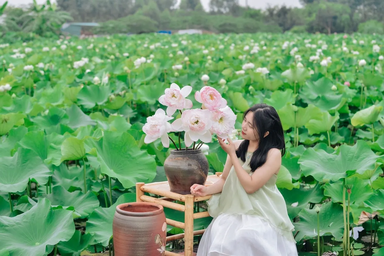 Serene Beauty: Vietnamese Woman Amidst a Lotus Paradise