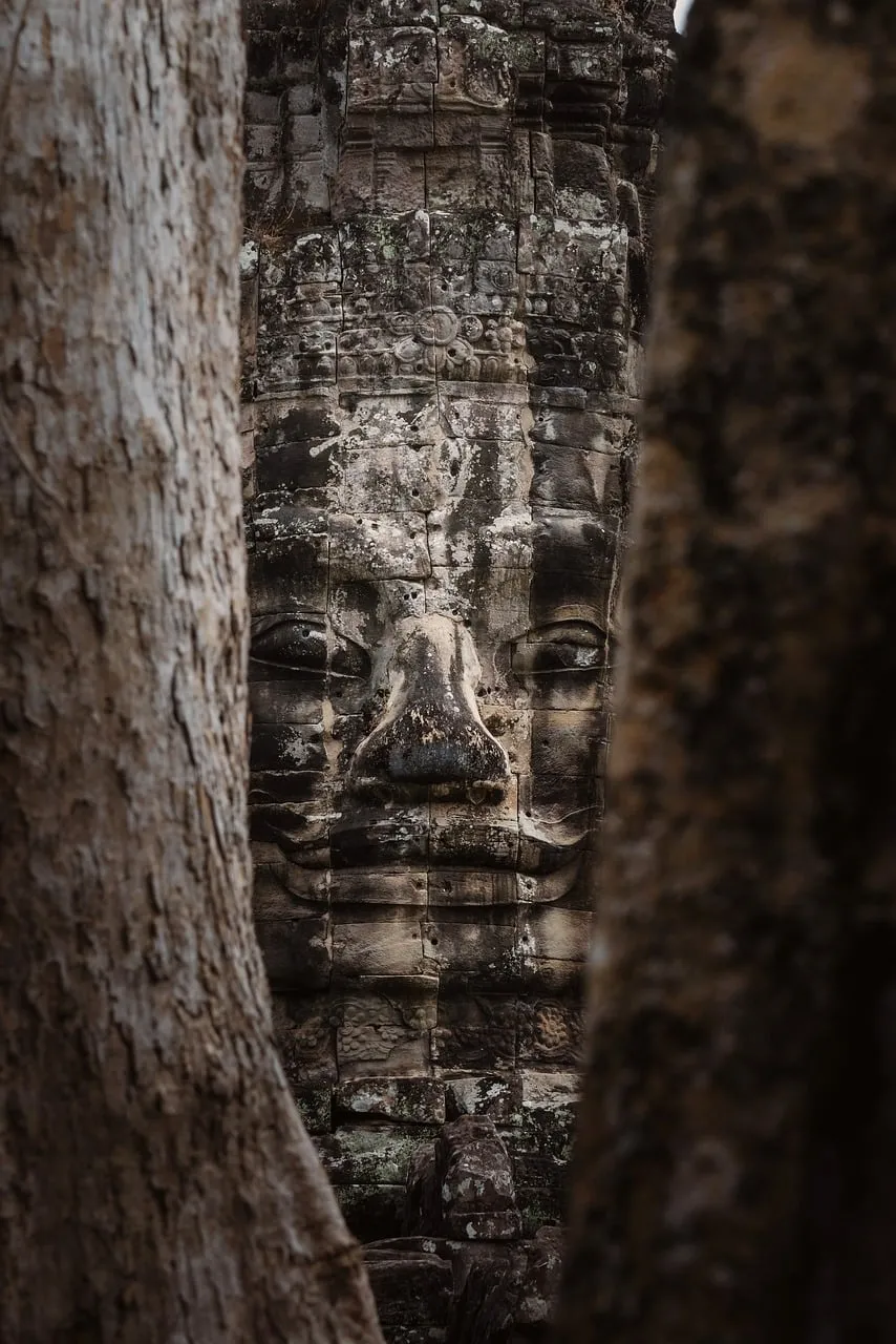 Mysterious Angkor Wat Face Amidst Jungle Embrace