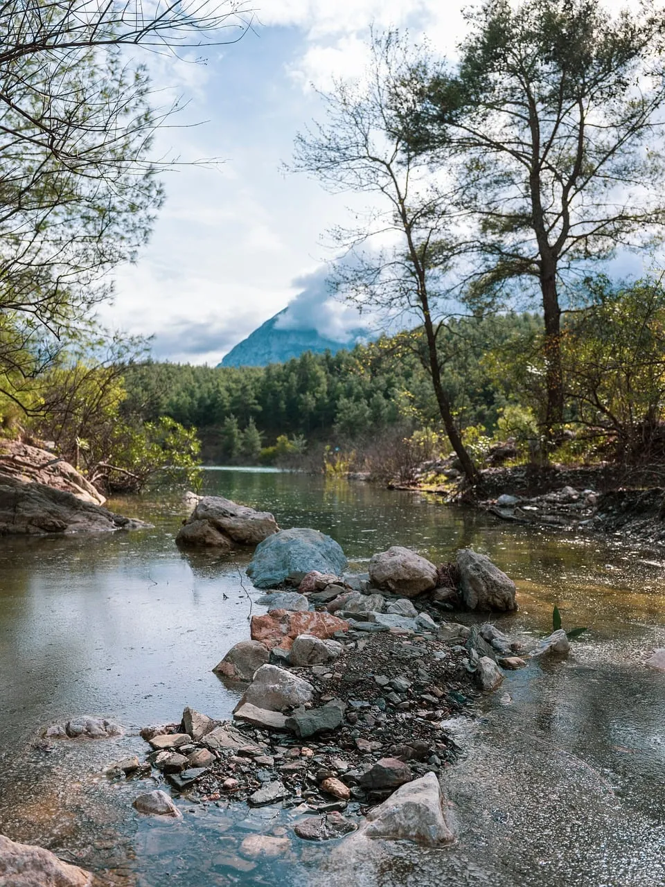 Serene Mountain Lake: Nature's Tranquil Escape