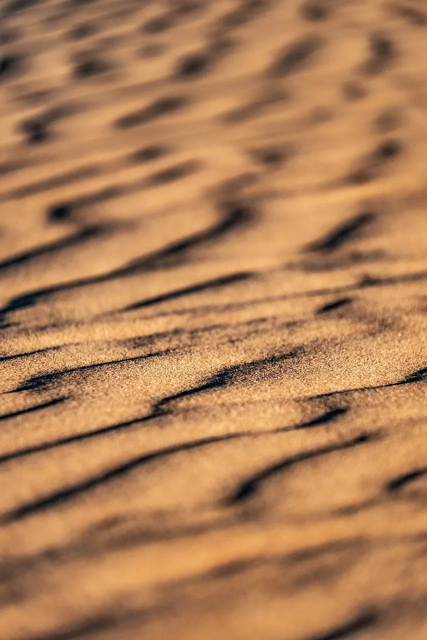 Stunning Desert Dunes: Golden Sand Waves & Shadows