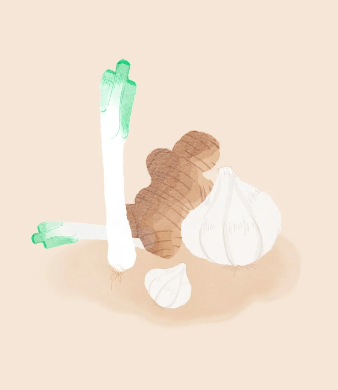 Vibrant Culinary Essentials: Fresh Ginger, Garlic, and Leek Illustration