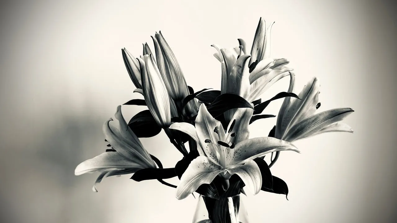 Stunning Black & White Lilies: Elegant Floral Art Deco