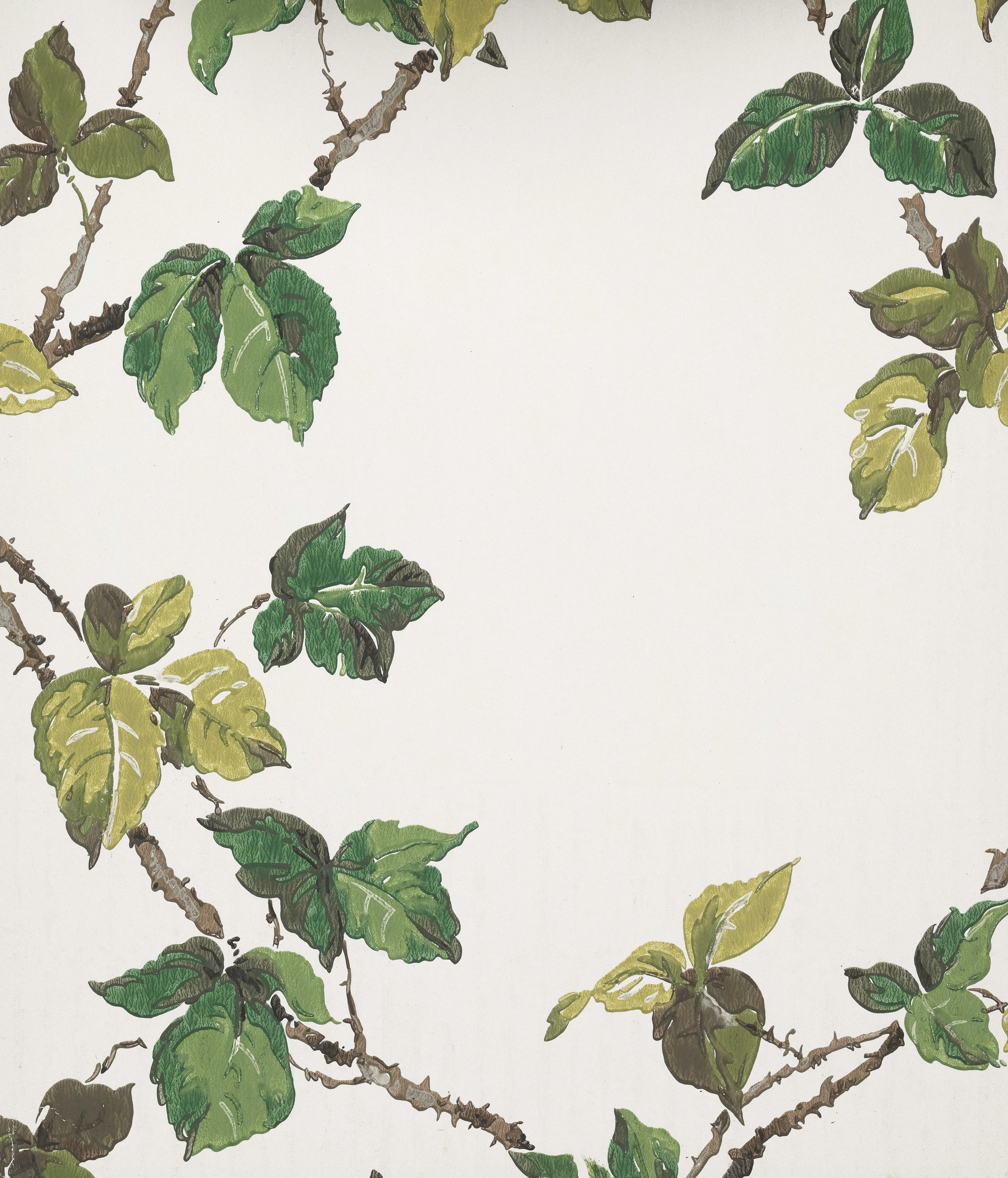 Vibrant Green Foliage on White: Nature's Elegance Wallpaper