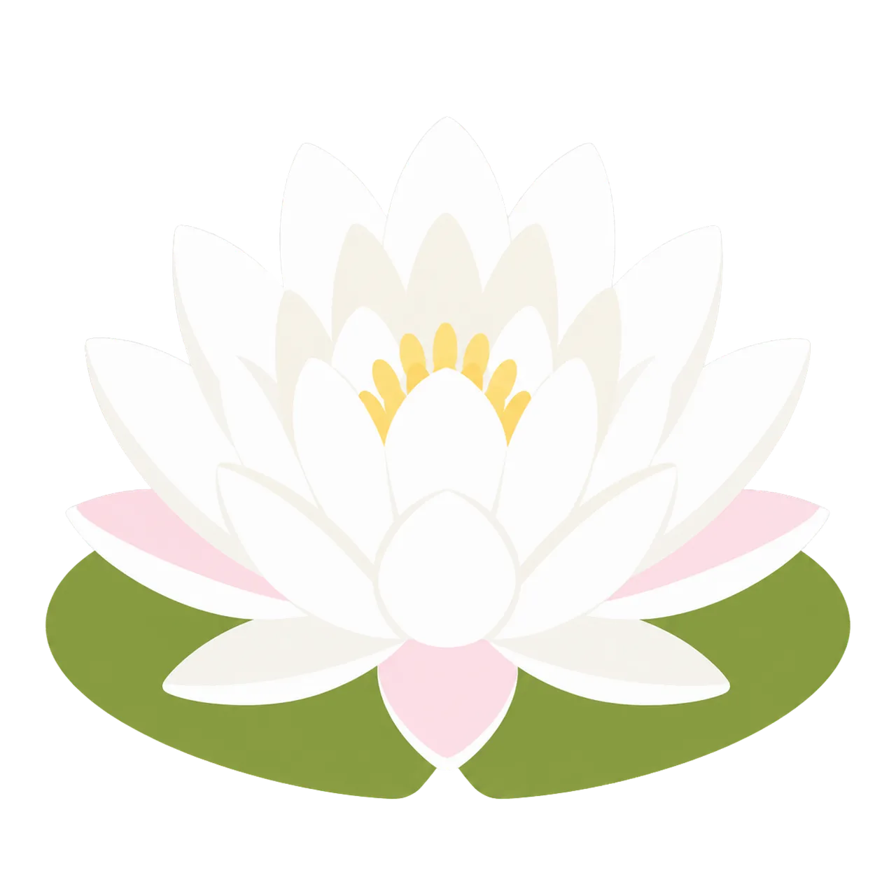 Serene White Water Lily: A Symbol of Purity and Peace