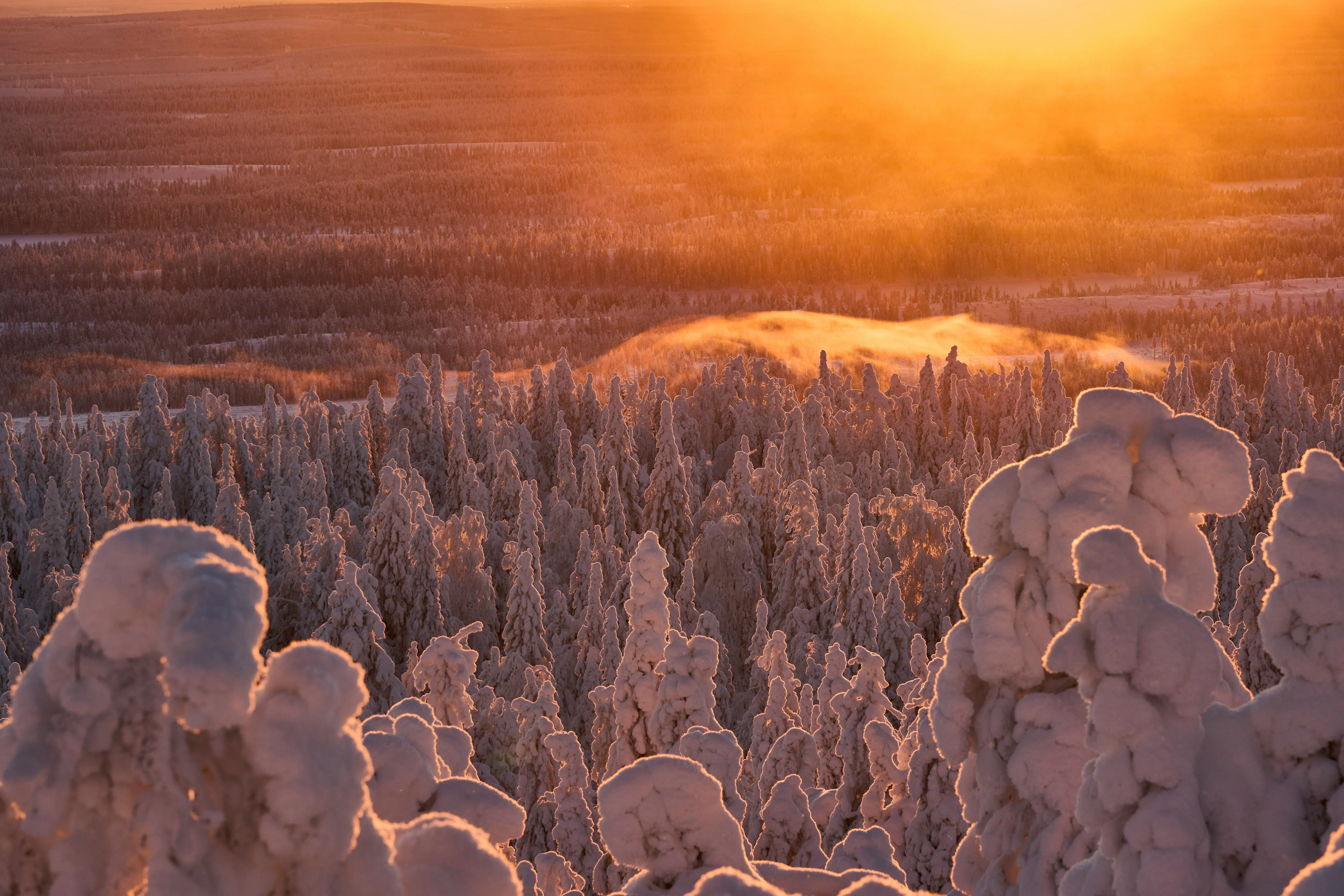 Golden Sunset Embraces a Snow-Covered Winter Wonderland